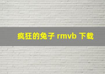 疯狂的兔子 rmvb 下载